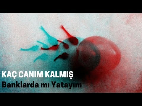 Banklarda mı Yatayım - Kaç Canım Kalmış