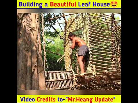 Leaf House in Jungle?! Insane Primitive Minecraft Build!