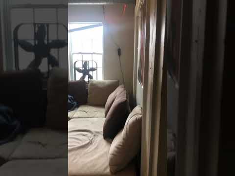411 McKee Place - Video 2 of 2
