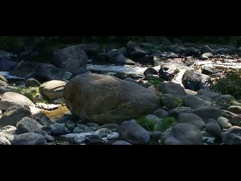 Reserva los Sosa , ruta 307 Tucumán Argentina 🇦🇷🧉🕊️
