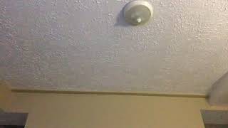 Cover of Bury Me by Coldrain(Zephyr Sunrise)