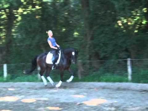 DESCARA 4j. v. Decamarone (Diamond Hit) -for sale- VB 7500,- Euro