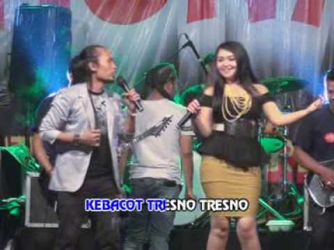 Arya Satria Feat. Lilis Novita - Tresno Marang Tonggo | Dangdut (Official Music Video)