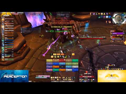 Perception vs Twin Ogron Mythic - Paladin Holy PoV