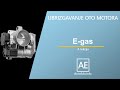 E Gas Elektronska Kontrola Snage Motora