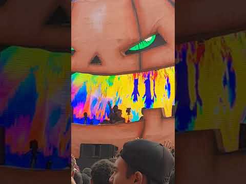 Alliance Halloween 2019 (Morten Granau )