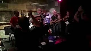 The Orchids -Peaches