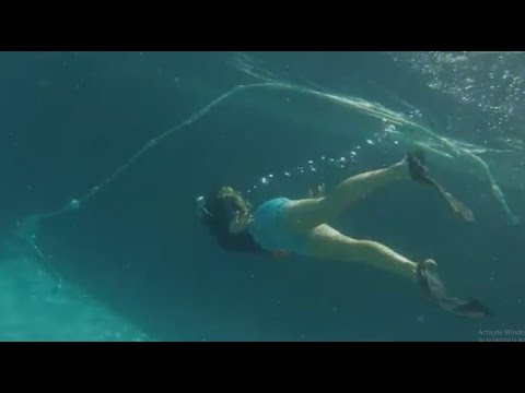 Polaris- Unlocking a Mystery of the Deep