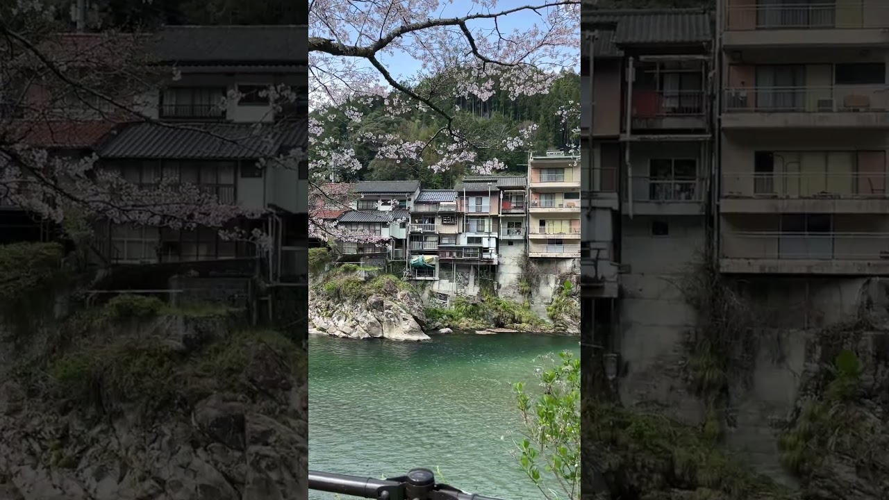 高知の春は日本1。