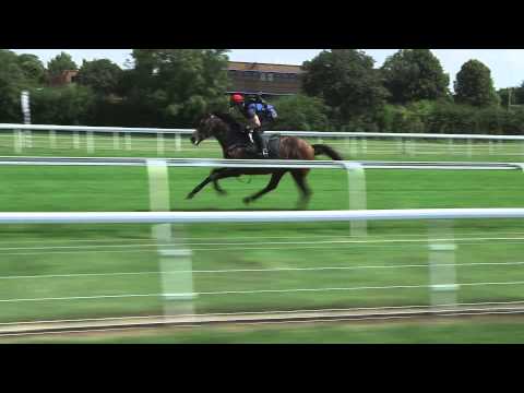 Champions Series course ride: Juddmonte International Stakes