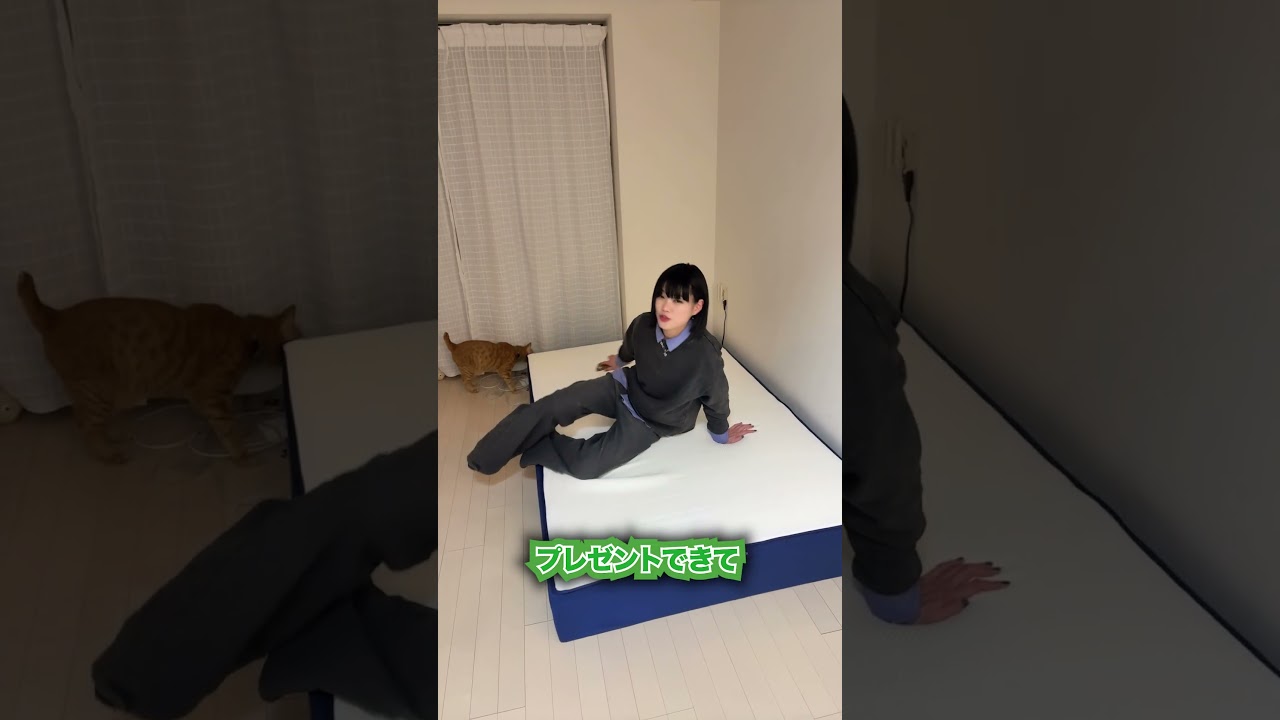 姉貴が誕生日プレゼント持ってきたけどなんか変。#PR #ブルーボックス #ブルーボックスマットレスZ1 #マットレス #マブエナ #姉弟の日常 #fyp