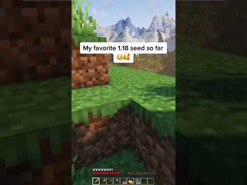 TOP Minecraft 1.18 seeds revealed at the end! 😱