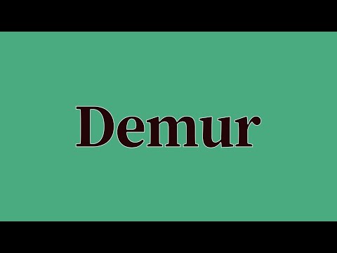 Demur Pronunciation and Meaning