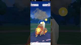 Pokemon Fight #pokemongo #packbattle #pokemoncards #pokemon #shinypokemon
