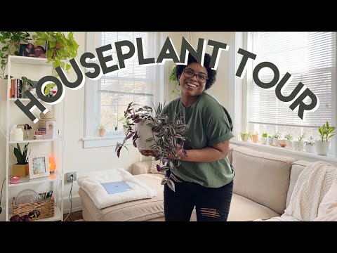 Houseplant tour 2021🌿 | 50+ plants in my tiny apartment!!