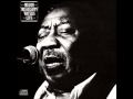 Muddy Waters - After Hours / Stormy Monday Blues (Live)
