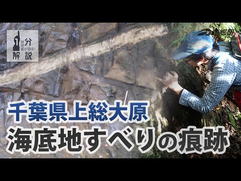 クラウン (惑星地質学)について詳しく解説