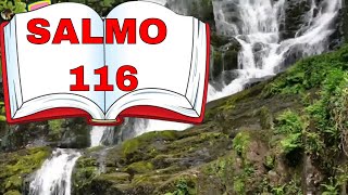 SALMO 116 - Orao poderosa para pedir livramento e proteo para sua vida. Em Sintonia Com DEUS