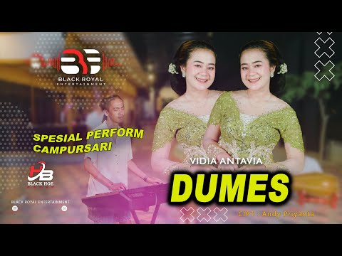 VIDIA ANTAVIA - DUMES (CAMPURSARI VERSION)  (Official Live Video BLACK ROYAL ENTERTAINMENT)
