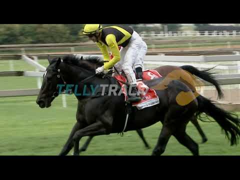 SUMMER PUDDING - WORLD SPORTS BETTING SUMMER CUP 2020