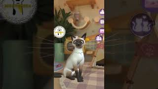 Soy la loca de los gatos? Time Princess