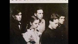 Suburban Lawns - Not Allowed