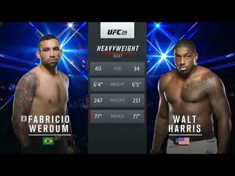 Fabricio Werdum vs Walt Harris full fight