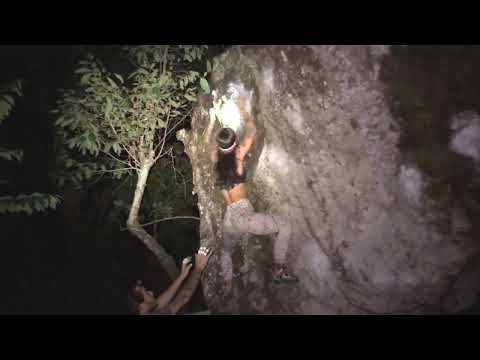 Onça parda, V5. Cocalzinho de Goiás