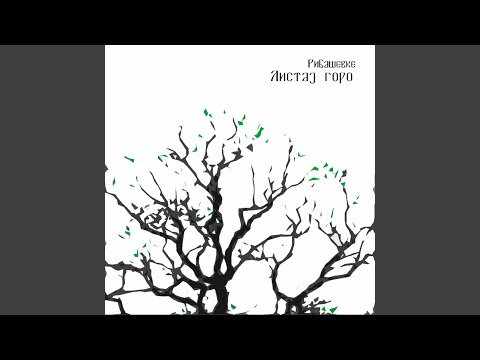 Kraj bunara zeleni se trava