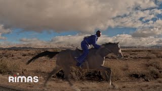 Musik-Video-Miniaturansicht zu NADIE SABE Songtext von Bad Bunny