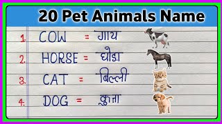 Domestic Animals Hin Eng Watch HD Mp4 Videos Download Free