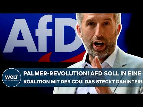 DEUTSCHLAND: Palmer-Revolution! AfD soll in eine Koalition mit der CDU! Das steckt dahinter!