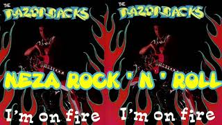 The Razorbacks   I Fought the Law