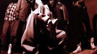 The Roots - Concerto Of The Desperado (1996)