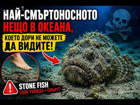 Каменната риба - Най-смъртоносното нещо в океана, което дори не можете да видите