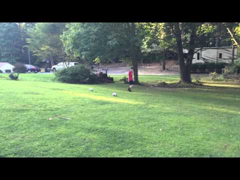 192 RATED DRAFT!!!! 99.9% IMPOSSIBLE CHALLANGE FIFA 16 RECORD ATTEMPT!