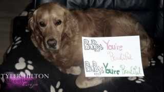 Our Lyricvideo for Tyler Hilton!