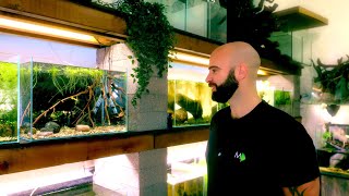 When Things Go Wrong, Giving My Fish A Simple New Home