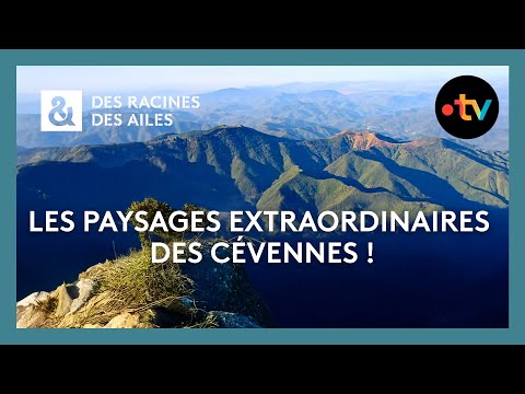 Les paysages extraordinaires des Cévennes ! - Des racines et des ailes