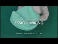 ESSIG S Wiring Video Intermaxillary Fixation Wiring Luxated Tooth Dentoalveolar Fracture Wiring