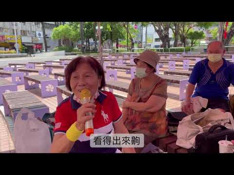 _替代文字