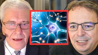 How Mind, Matter, and Consciousness Are Connected