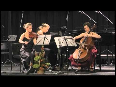 Beethoven D major trio Op.70 No.1 II. mt