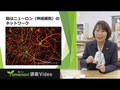 【夢ナビ講義動画／作業療法学科 橋本弘子教授】リハビリテーションとしてのダンス～ニューロダンス～