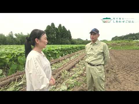 2024年6月7日(金)放送 ごぼう生産者の声