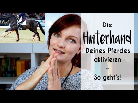 HINTERHAND das Pferdes aktivieren: So geht's + passende Übungen!
