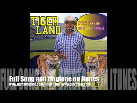 Pinc Gator-Tiger Land best new fight song