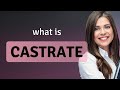 Castrate • what is CASTRATE definition