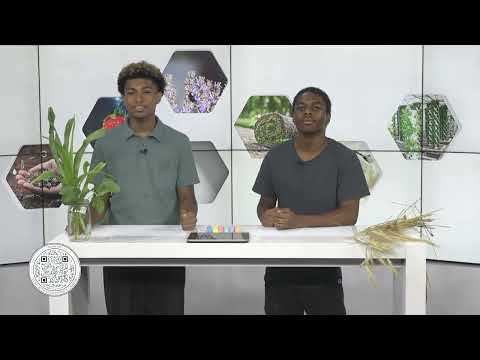 Precision Agriculture Institute | Golden Age