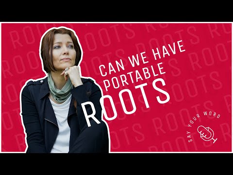 CAN WE HAVE PORTABLE #ROOTS / by ELIF SHAFAK